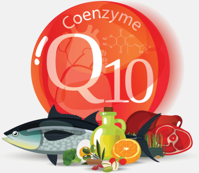 Szerves, fermentált koenzim Q10 - A szív egészségéért!